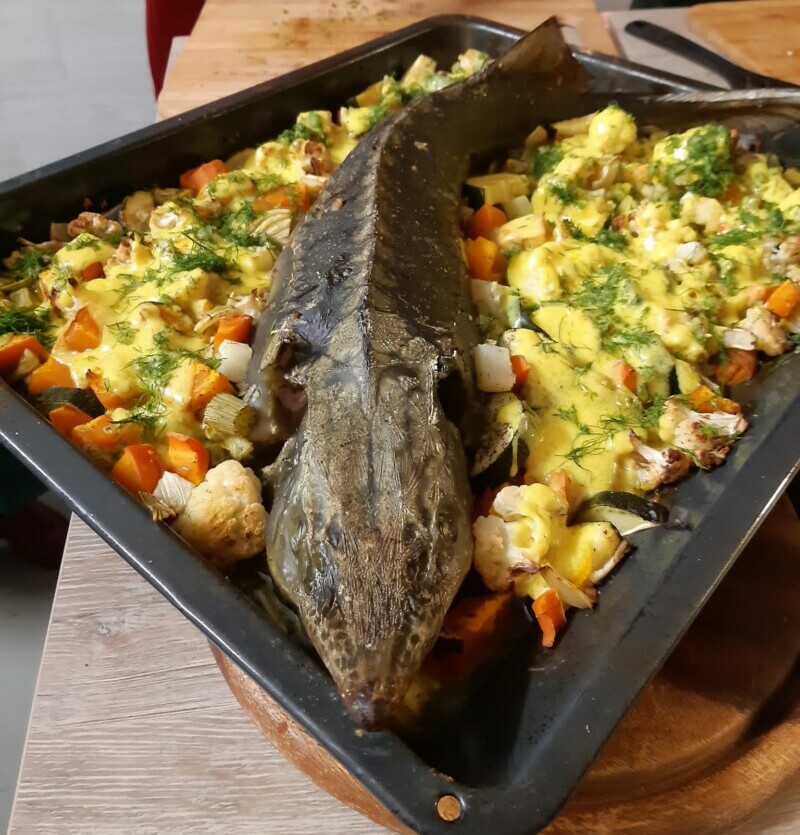 Gemeinsam Kochen und Genießen | "Fisch auf jeden Tisch" raffiniert und einfach zugleich